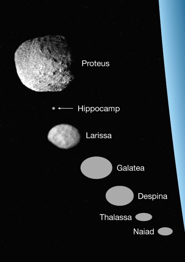 A size comparison of Neptune's inner moons