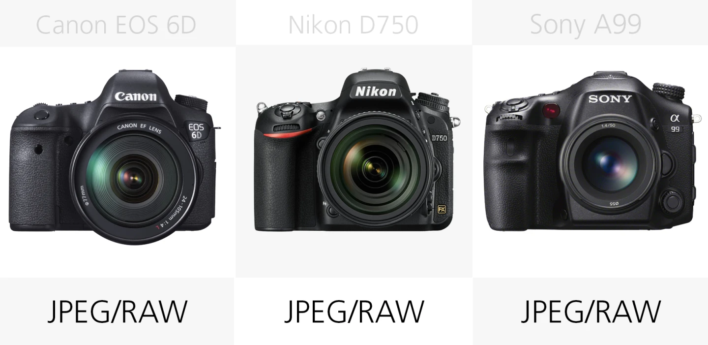 Full frame DSLR filetype comparison Canon EOS 6D, Nikon D750, Sony A99
