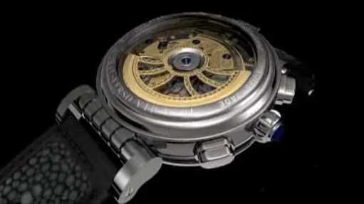The Dubey & Schaldenbrand Spiral-verso VIP