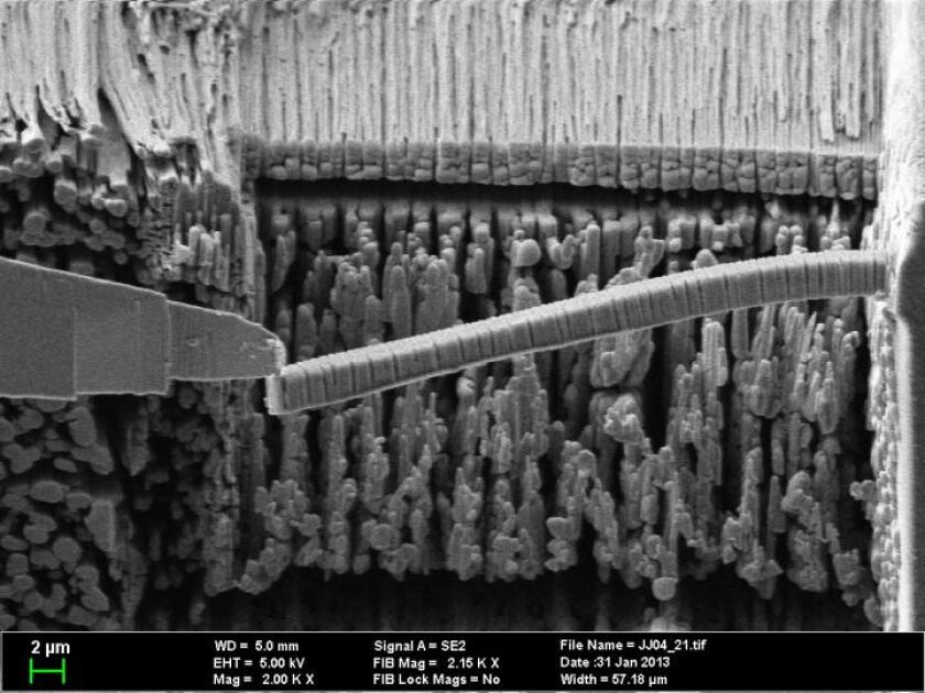 Bending experiment on elastic cement in a scanning electron microscope, enlarged 2,000 times