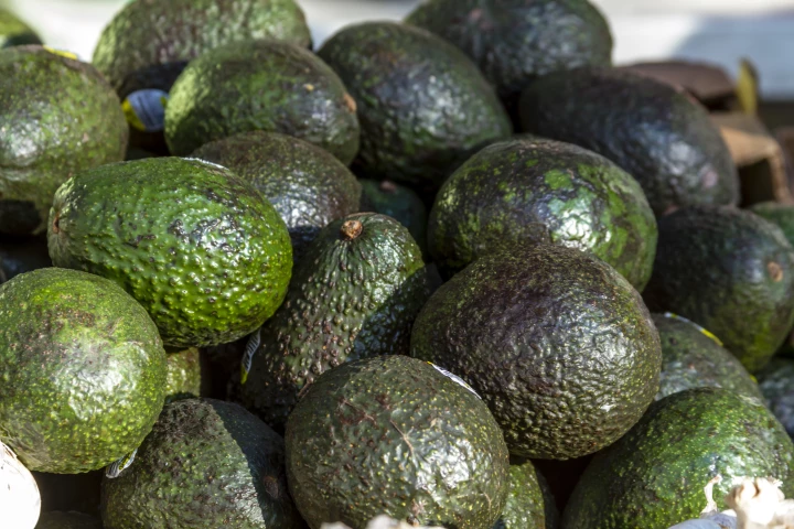 Apeel-coated avocados reportedly stay ripe (without spoiling) twice as long as their untreated counterparts