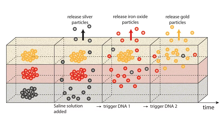 A chart displaying how the sequenced particle release system works