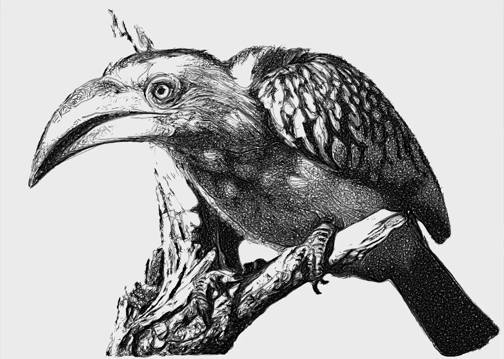 An incredibly detailed ink sketch of a bird by the robot artist eDavid