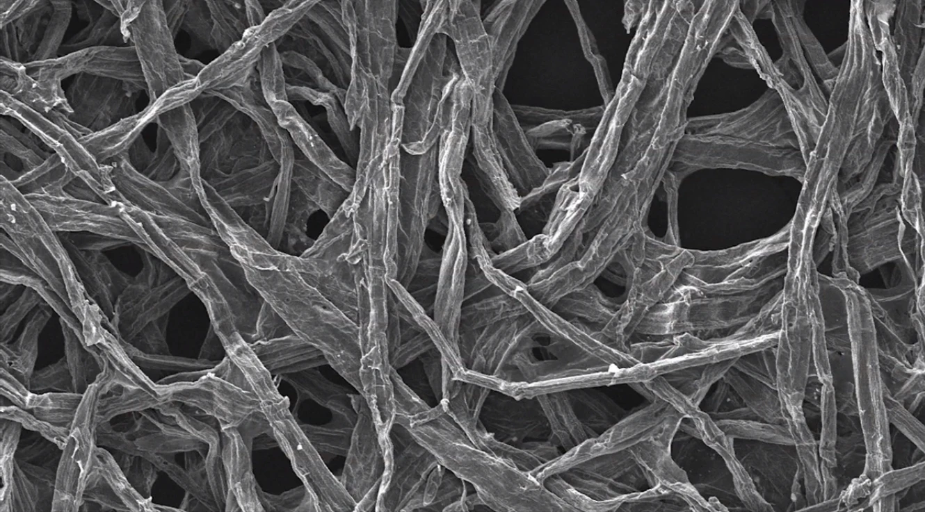 A closeup of the wood fibers used by the researchers in their sodium-ion battery (Image: University of Maryland)