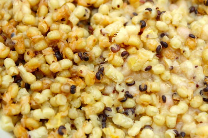 The harvesting of bee larvae could help feed the hungry