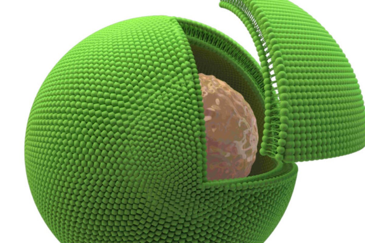 Hybrid artificialnatural cells bring together the best of both worlds