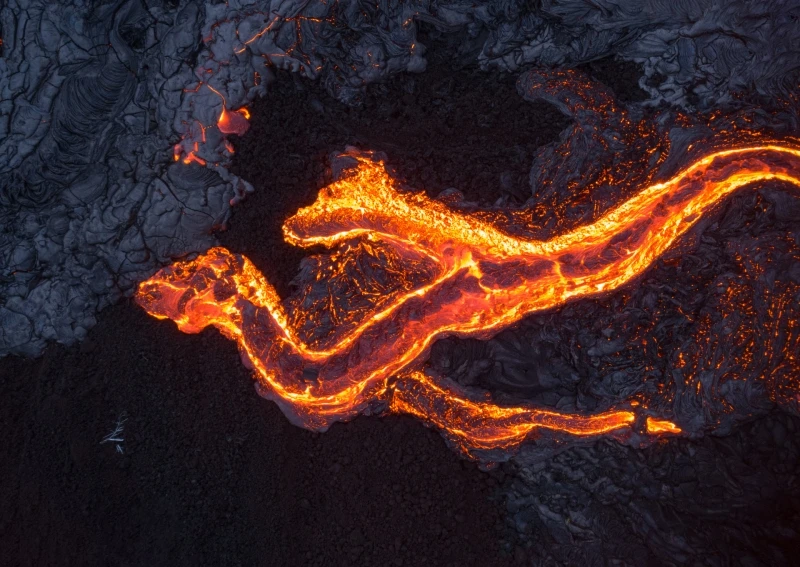 Double Dragon: Commended in the Nature category