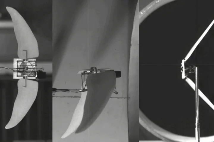 Researchers inspired by the wings of swifts and swftlets have developed an experimental Micro Air Vehicle which combines flapping and gliding flight modes for improved efficiency