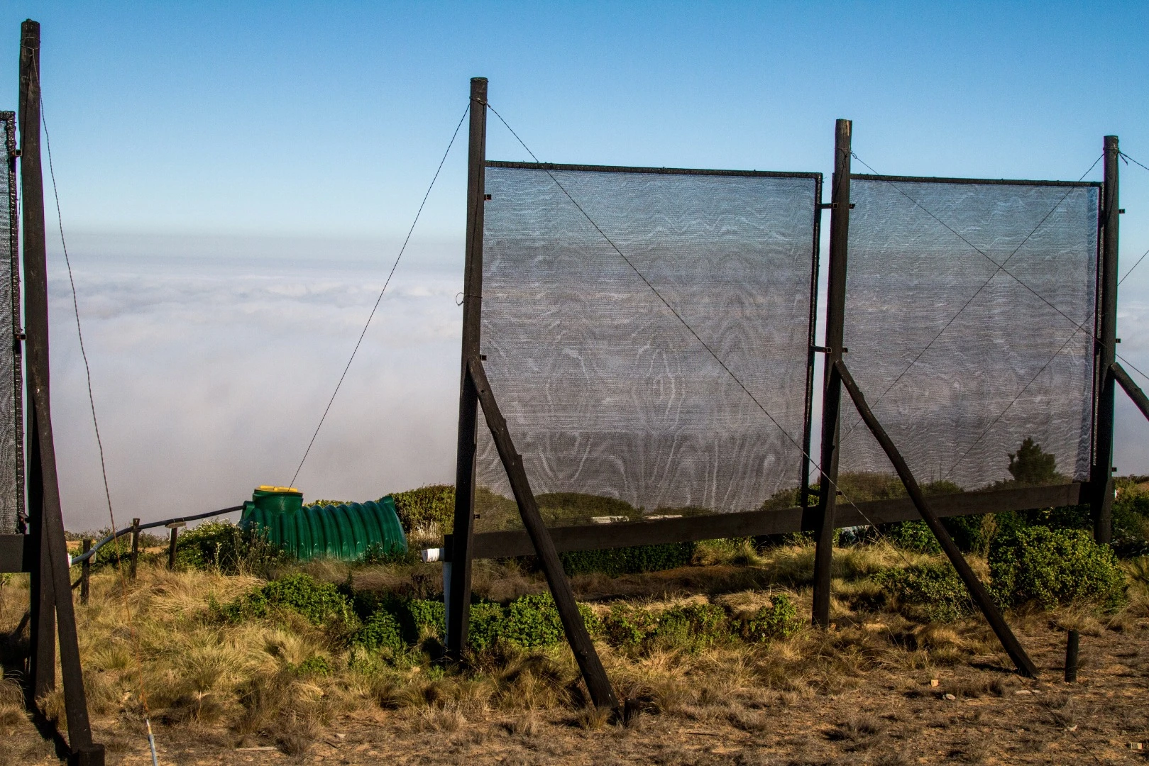 Chile's geographers, engineers and academics are probing the Camanchaca for cheaper and more sustainable answers to the water shortage
