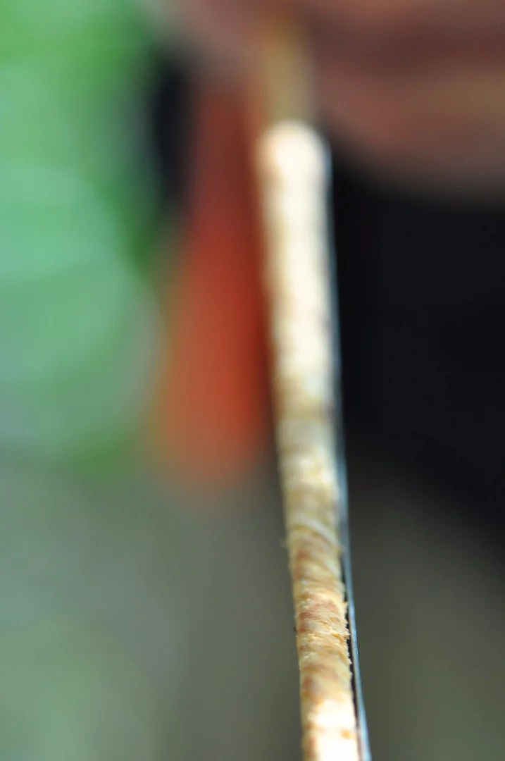 A tree growth-ring sample