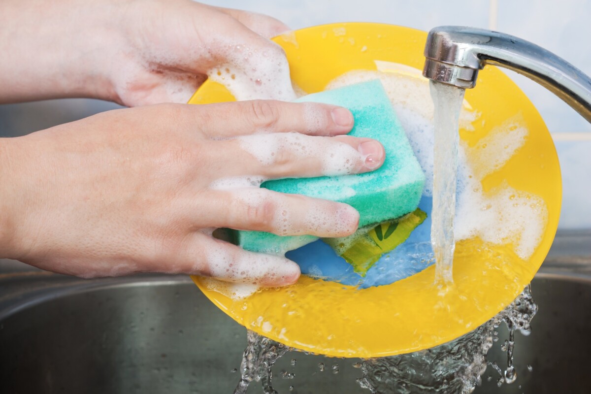 How often do you change your kitchen sponge?