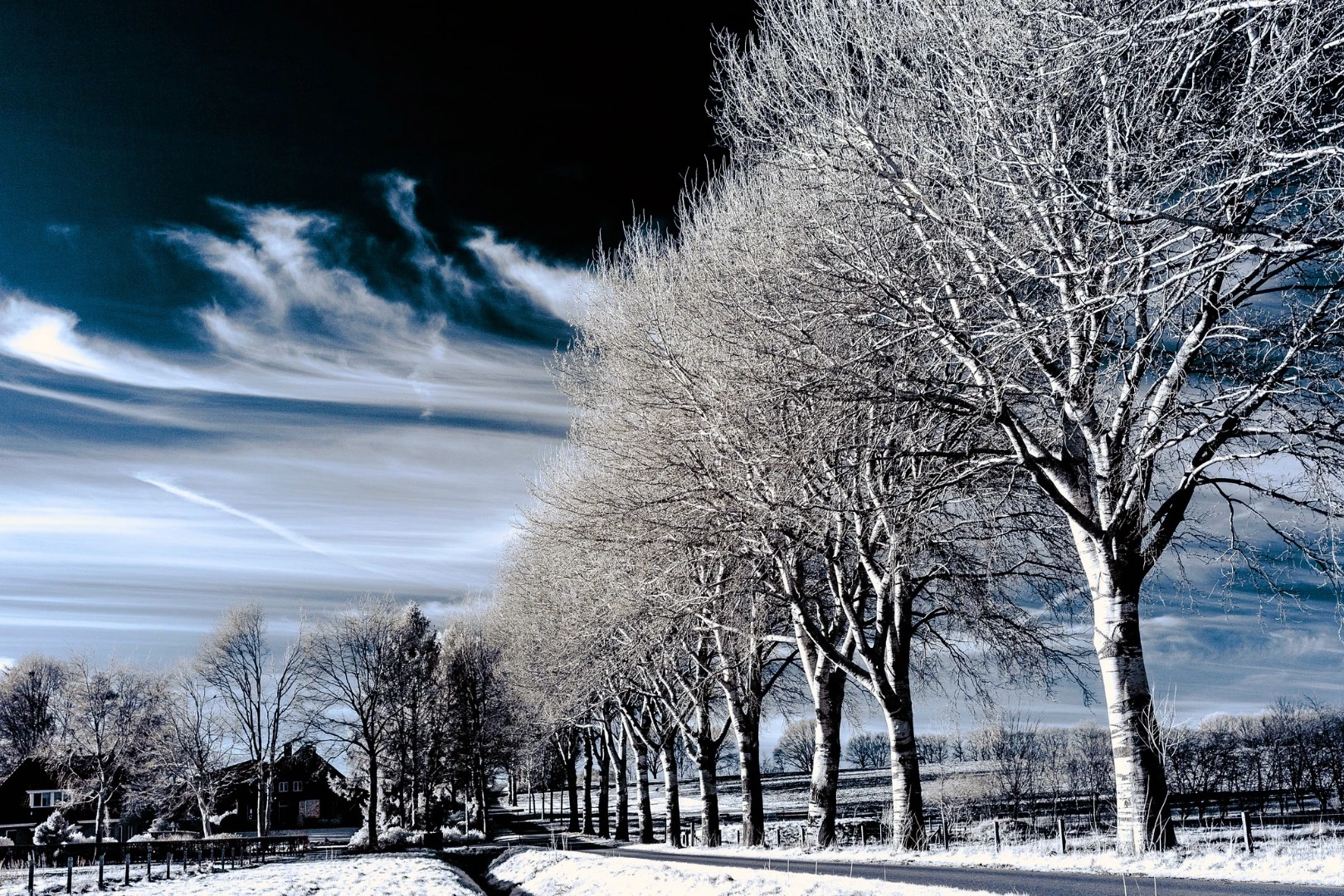 Victor Sassen's infrared photography sits very closely against the visible light spectrum, delivering images that only just tip into infrared wavelengths (Credit: Victor Sassen Flickr / CC BY 2.0)