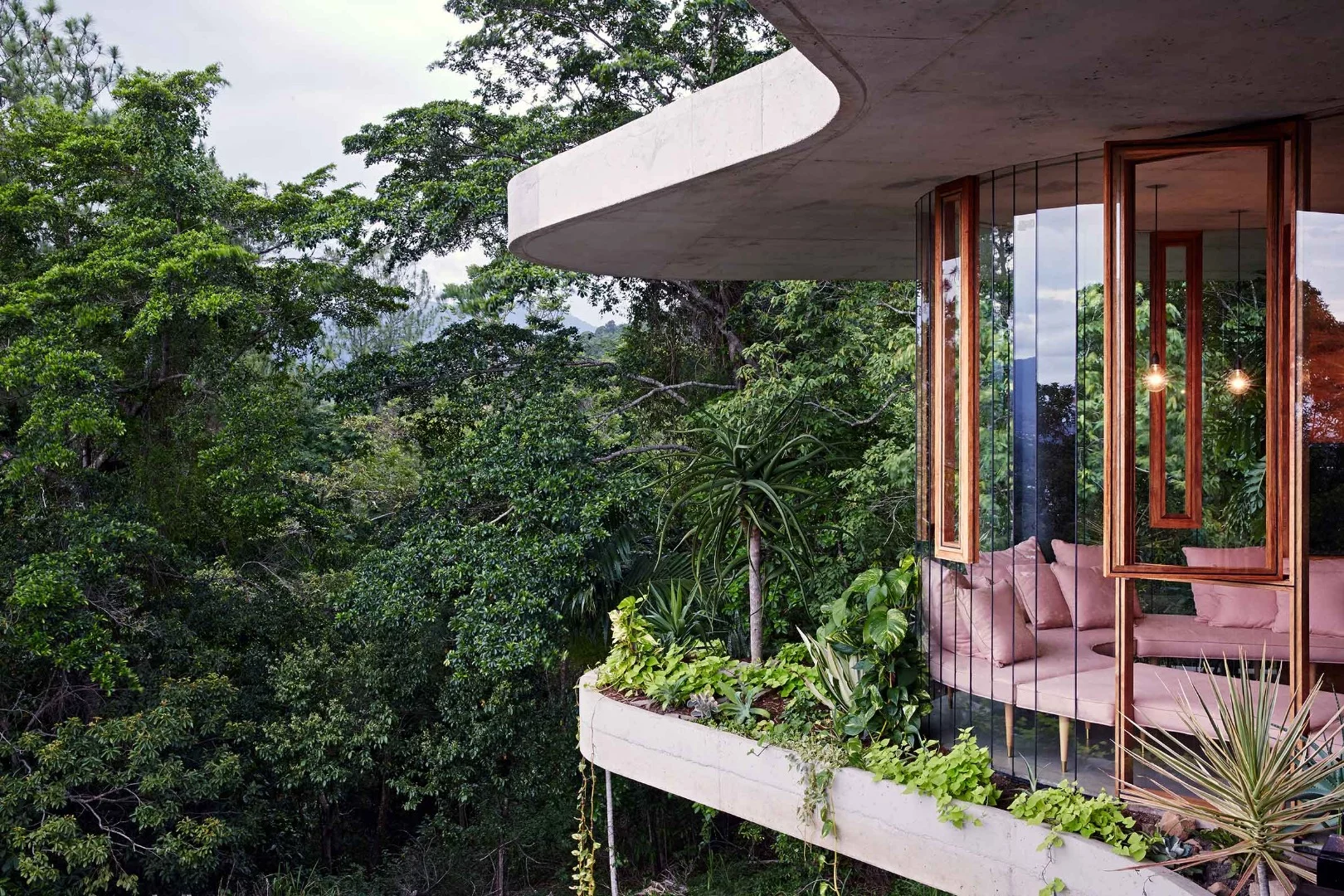 The Planchonella House is on the market now for an undisclosed price