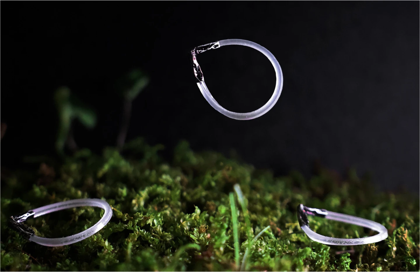 Wind-up elastic robot jumps forever when fed infrared light