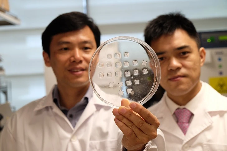 Prof. Chen Peng (left) and Asst Prof Xu Chenjie, with a batch of the patches