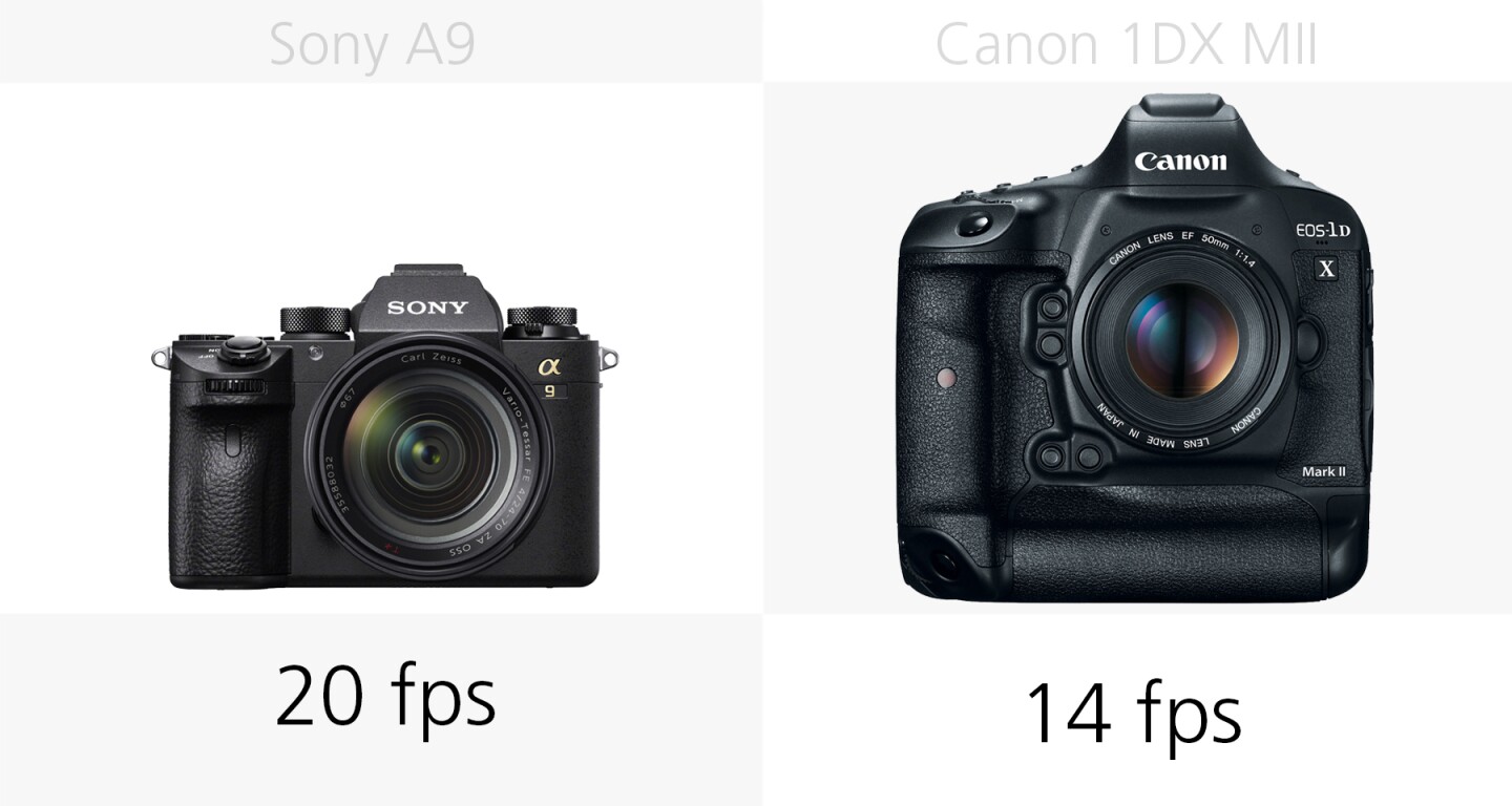 Comparing the top shooting speed of the Sony A9 and Canon 1DX Mark II