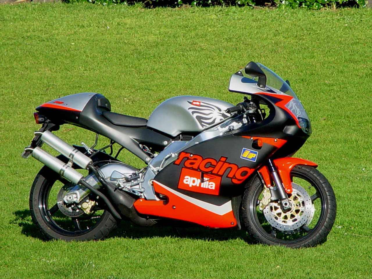 The Aprilia RS250