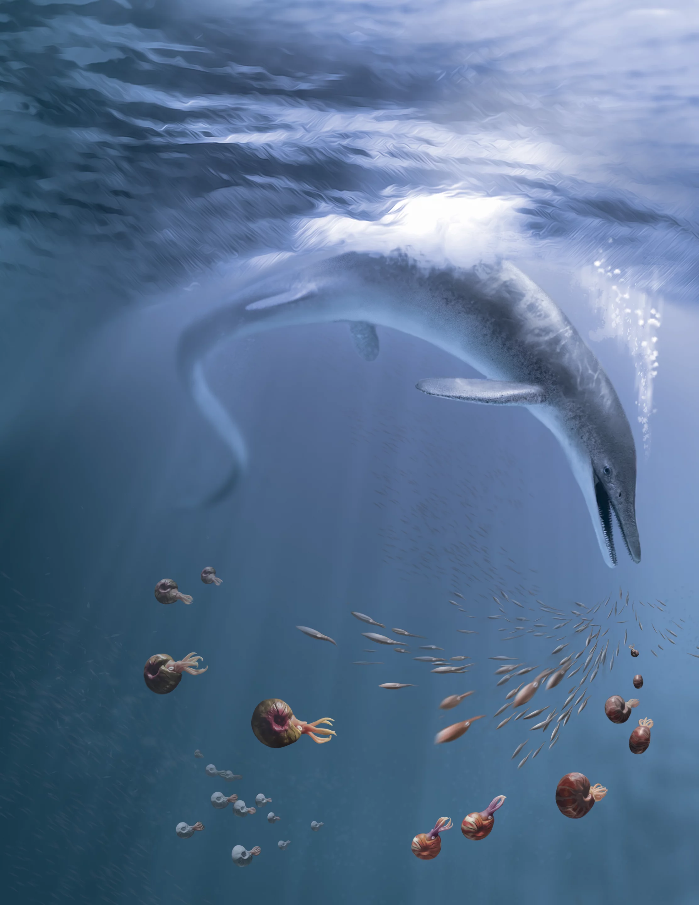 An artist's recreation of Cymbospondylus youngorum, a new giant species of ichthyosaur