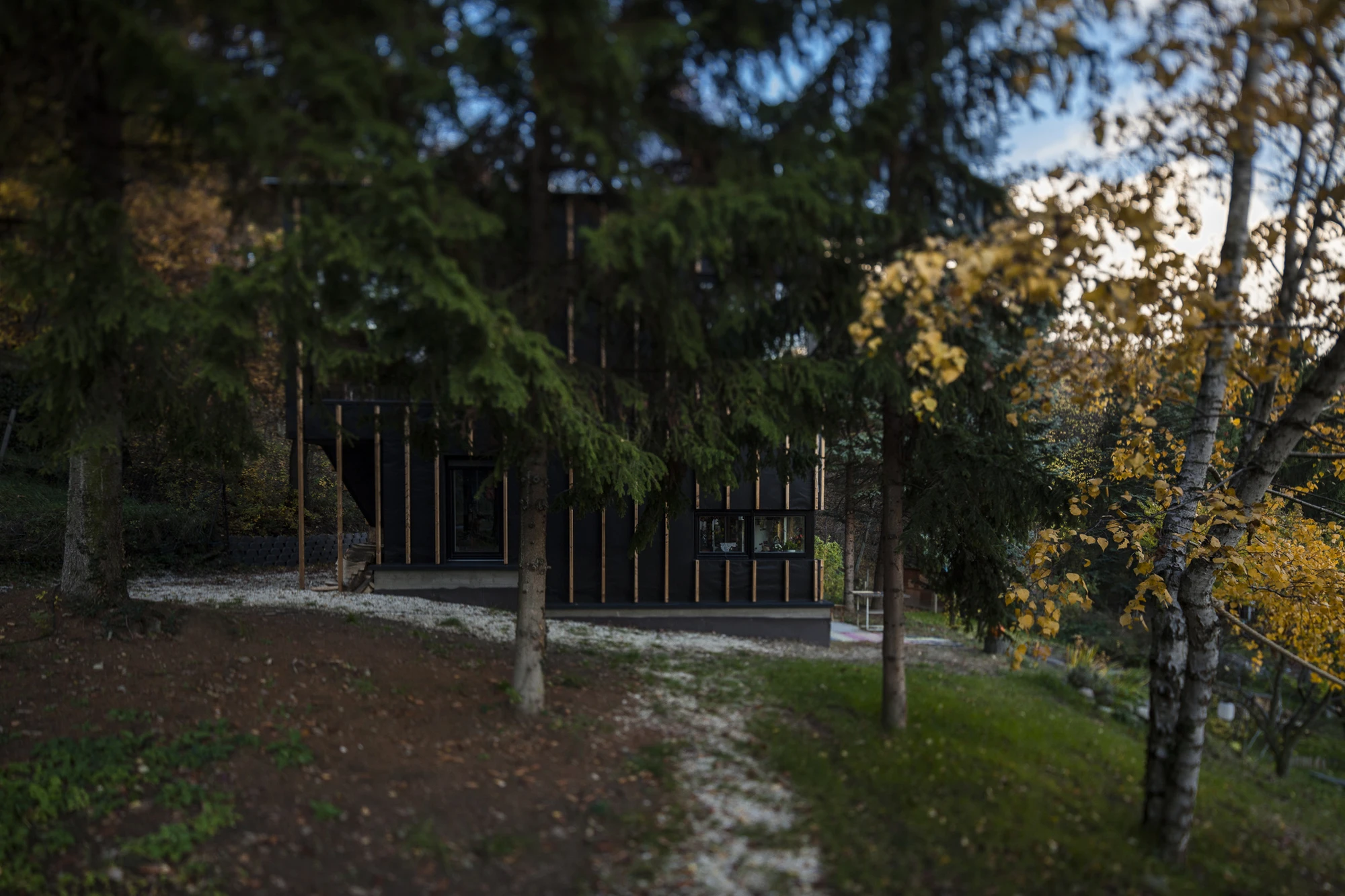 Black Magic House is heated by a wood stove and fireplace, with fuel provided by the nearby woods (Photo: Zsolt Batár)