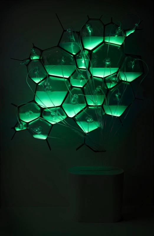 The Philips bio-light