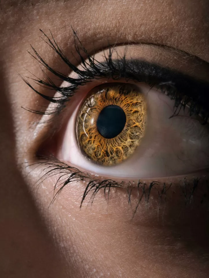The Oz technique maps M cones in the eye, tracks micro eye movement, and then targets a laser to stimulate those cones – giving the perception of the color Olo