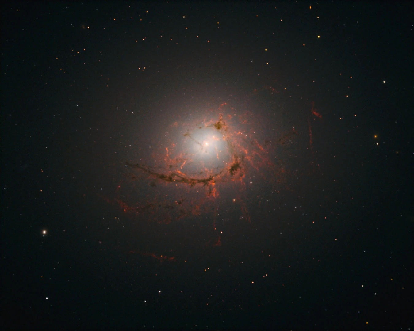 NGC 4696, the largest galaxy in the Centaurus Cluster
