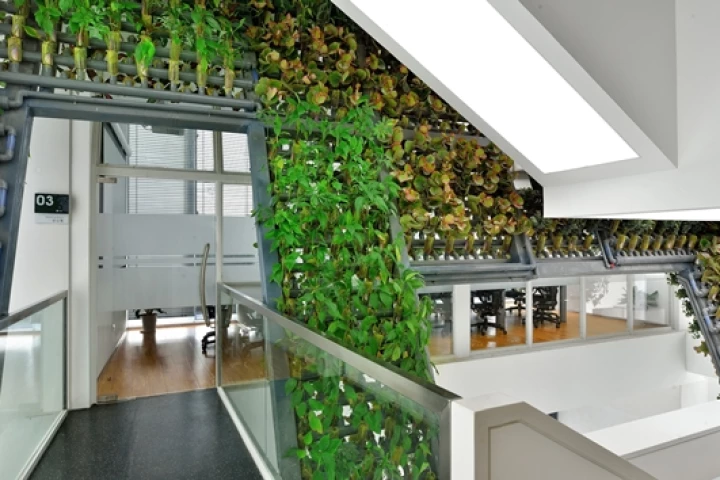Ingameoffice has installed a green wall system into the TYJ Office Building in Shenzhen, China