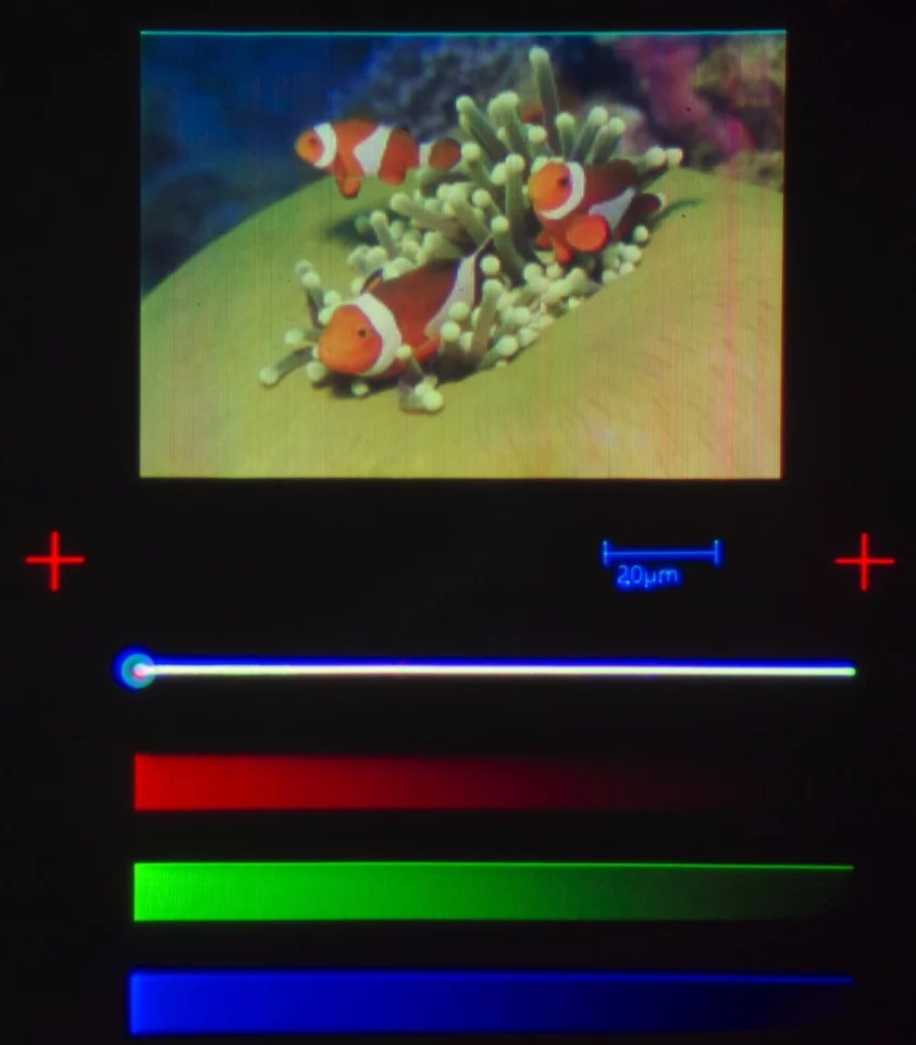 Layers of red, green and blue quantum dots make up the minuscule picture