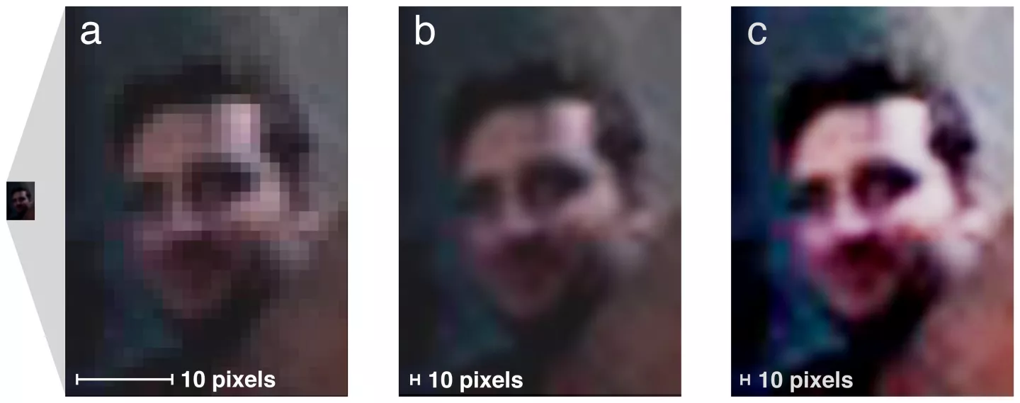 This series illustrates the image processing used in the Jenkins/Kerr study. On the left is the raw image from the lead photo, in the middle is the image following bicubic interpolation, and on the right is the middle image following PhotoShop Autocontrast manipulation (Photo: University of York)