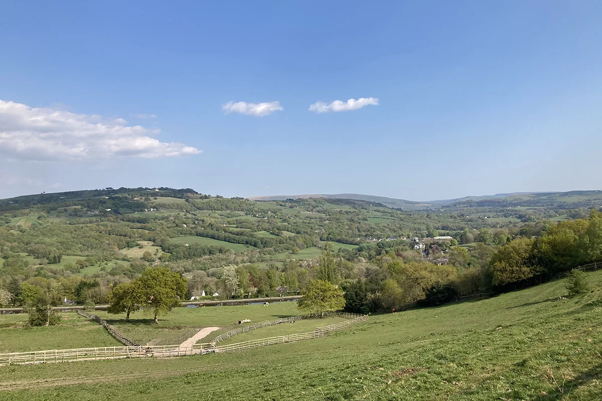 There's no doubt about it – even with just one camera lens, the iPhone SE can take some quality photos