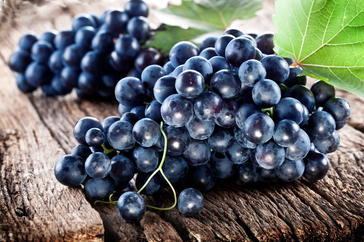 The polyphenols found in grapes could be the key