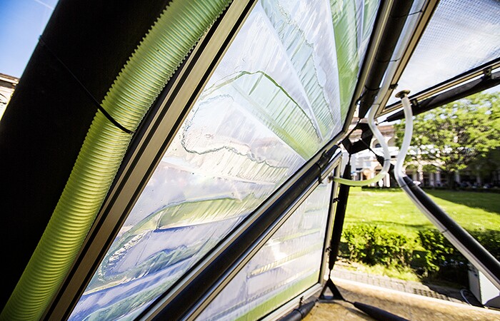 "The exceptional properties of microalgae organisms are enhanced by their cultivation within a custom designed 3 layers ETFE cladding system."