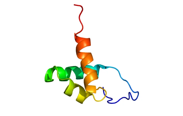 A rendering of the protein structure of NCOR1