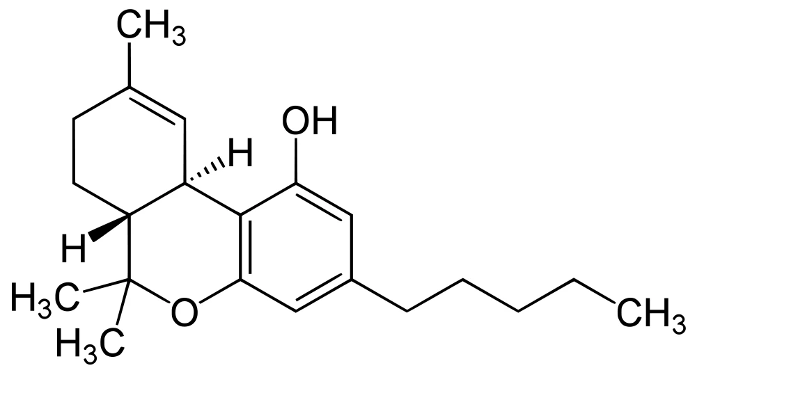 The molecular structure of THC (tetrahydrocannabinol)