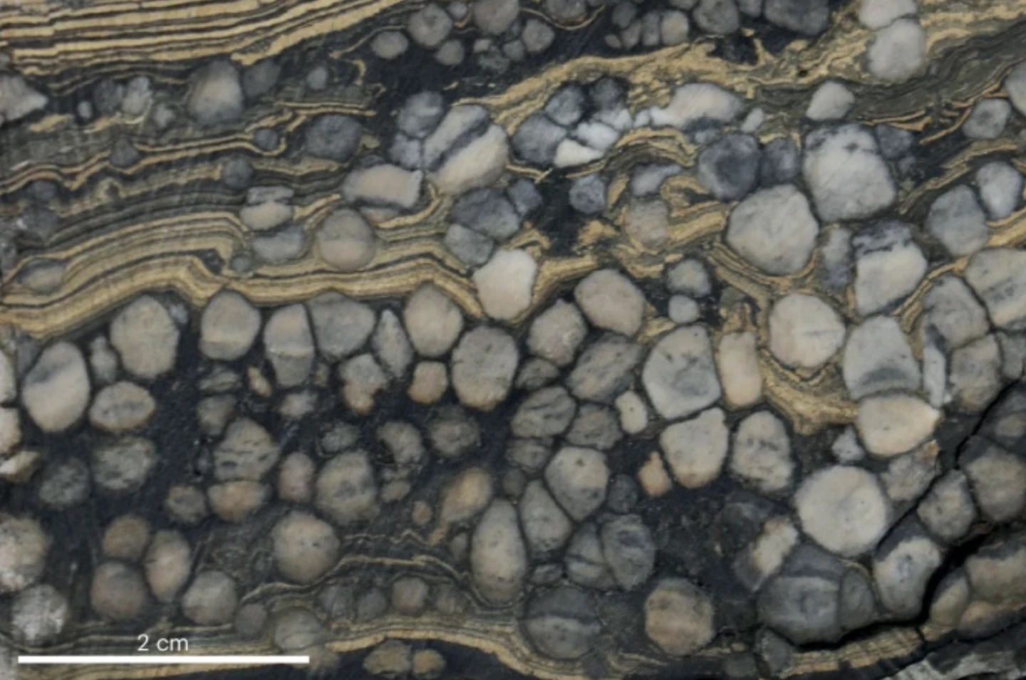 Lacustrine shale containing white nodular jadarite interbedded with laminated dolomite