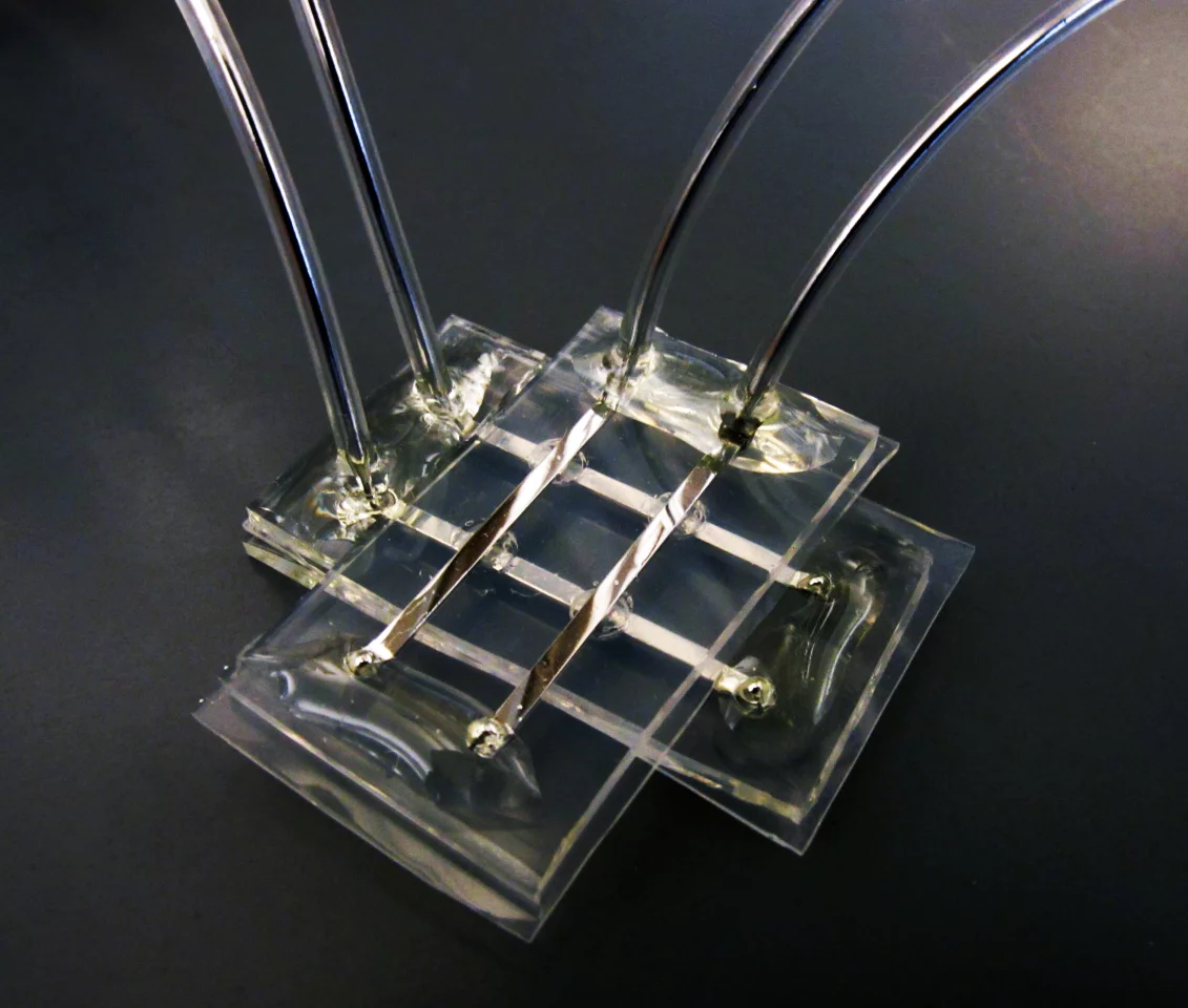 Researchers have developed a memory device that is soft and squishy, and not affected by wet environments (Photo: Michael Dickey, North Carolina State University)