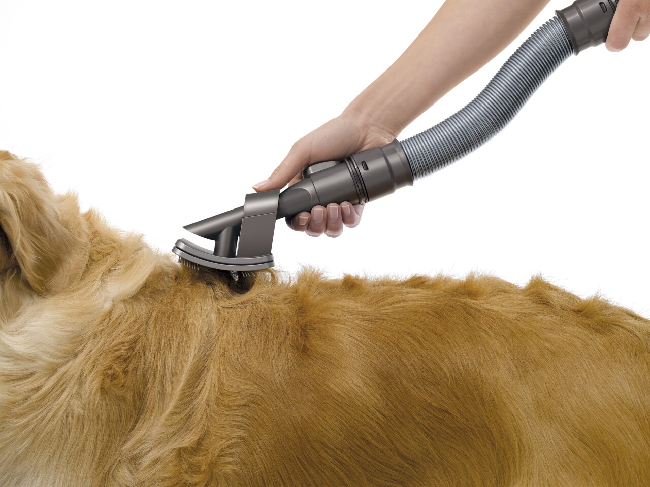 The new vacuum attachment has been designed for medium to long haired dogs and sucks up loose hair and dead skin before it gets anywhere near the clean floor or prized upholstery