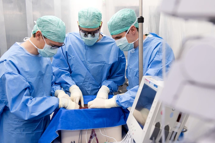 Scientists connect a donor liver to their perfusion machine