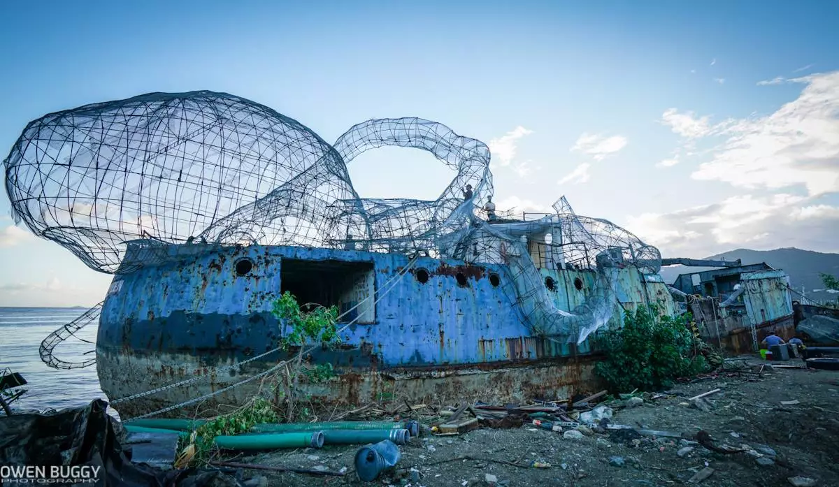 The giant octopus framework taking shape