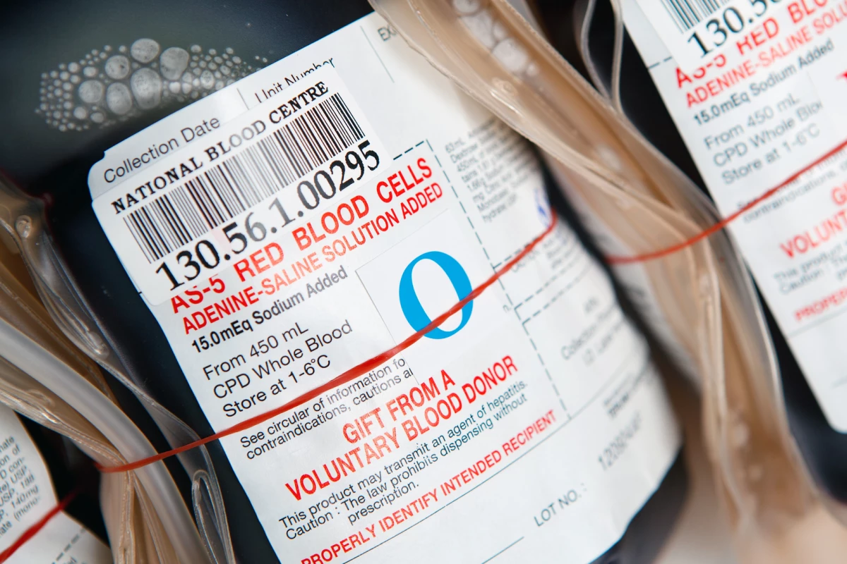 Researchers are a step closer to creating universal donor blood, thanks to a common gut bacteria
