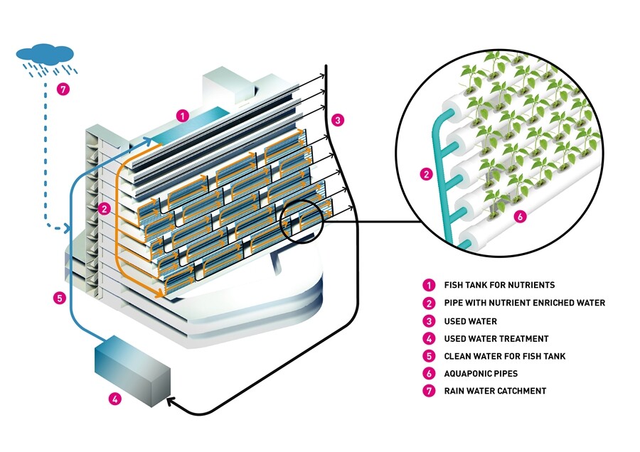 The Homefarm water cycle (Image: Spark)