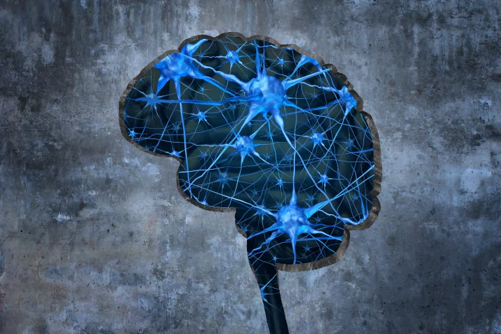 A single protein has been found to alter the expression of hundreds of genes associated with the development of autism