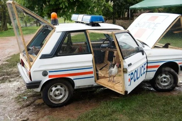 The police-car chicken coop from 2013