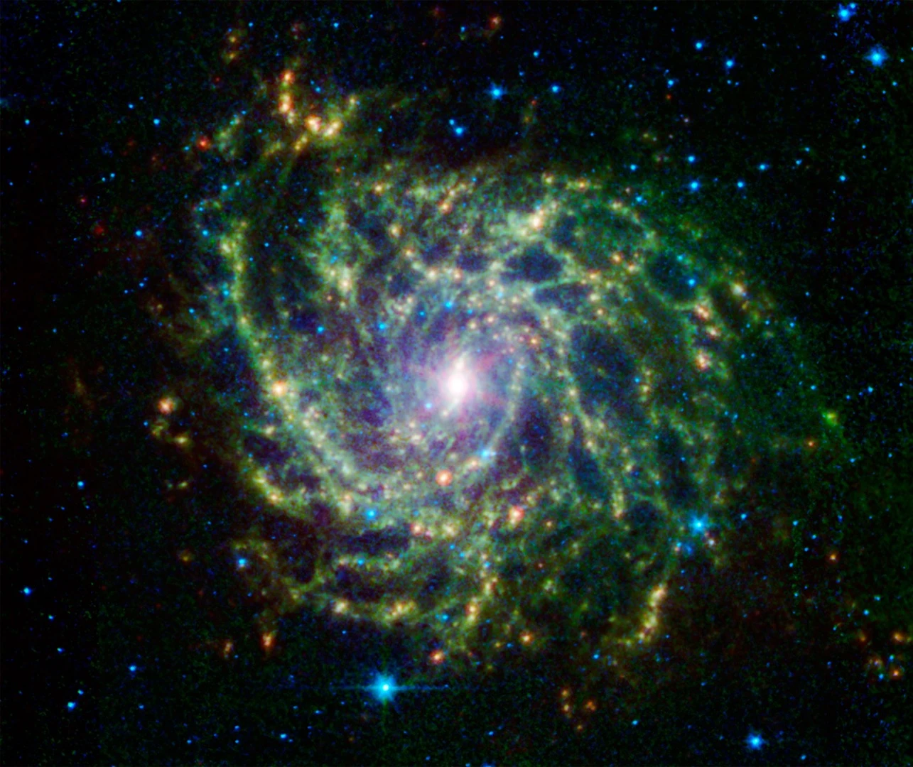 The galaxy IC 342 presents its delicate pattern of dust in this image from NASA's Spitzer Space Telescope. Seen in infrared light, the faint starlight gives way to the glowing bright patterns of dust found throughout the galaxy's disk