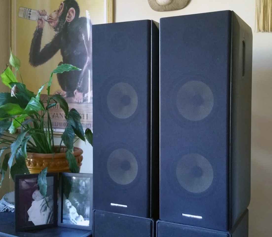 The Thonet & Vander Koloss are taller than most bookshelf speakers, ideal for entertainment centers or pedestals