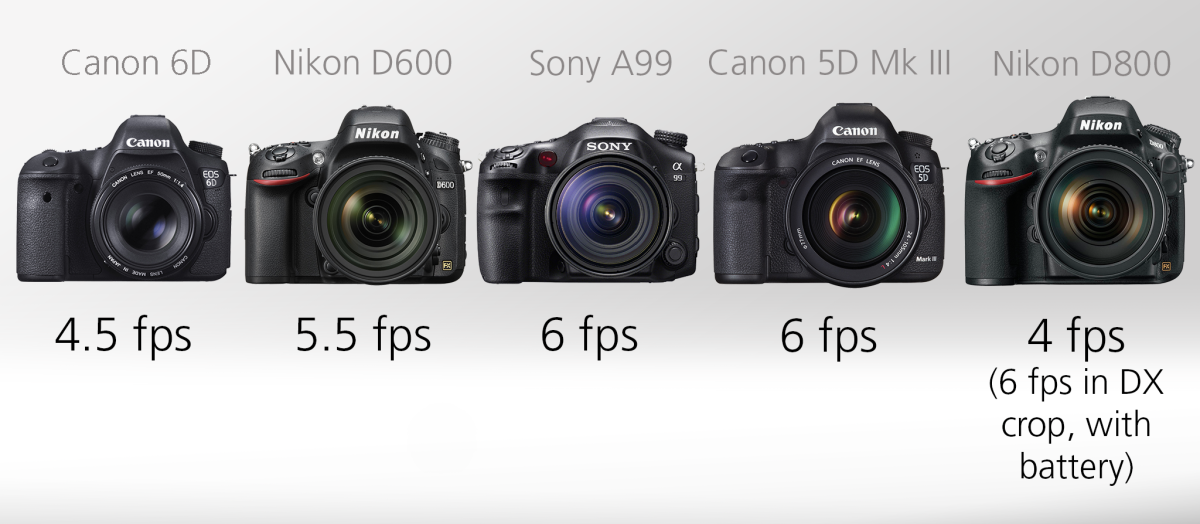 Full Frame DSLR Comparison Guide - Burst rate