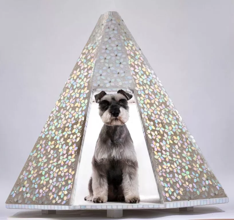 Spring Blossom was designed by Bournemouth's Natalie Guy. It's made from plywood and has 540 iridescent glass flowers attached