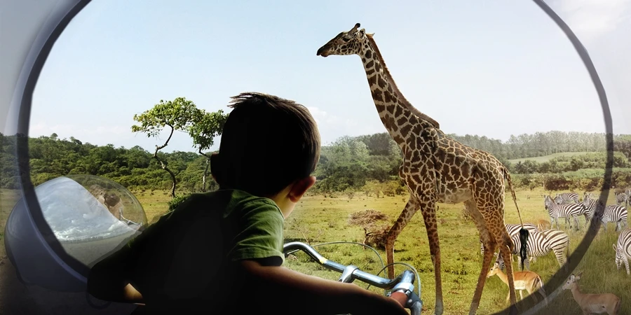 Users can walk or cycle around trails through all of the areas with viewing points built into the animals' habitat (Image: Big Architects)