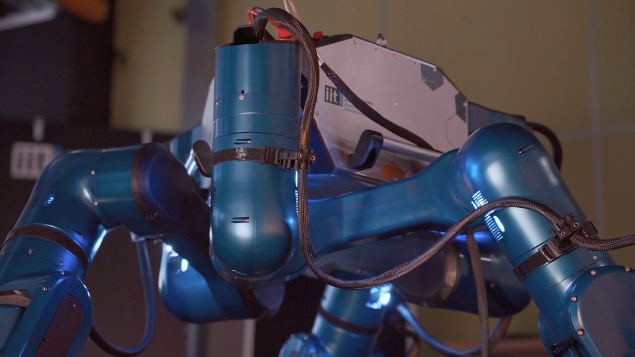 A closer look at MARM's articulated limbs
