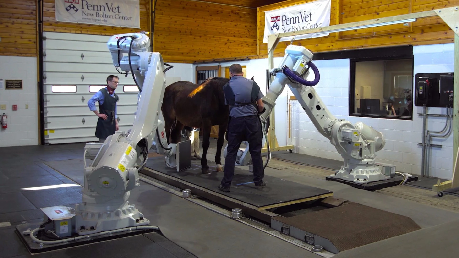 The researchers worked together with an imaging company called 4DDI to work on the system, known as Equimagine